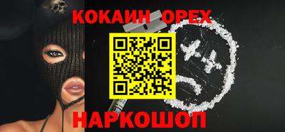 шишки Камень-на-Оби