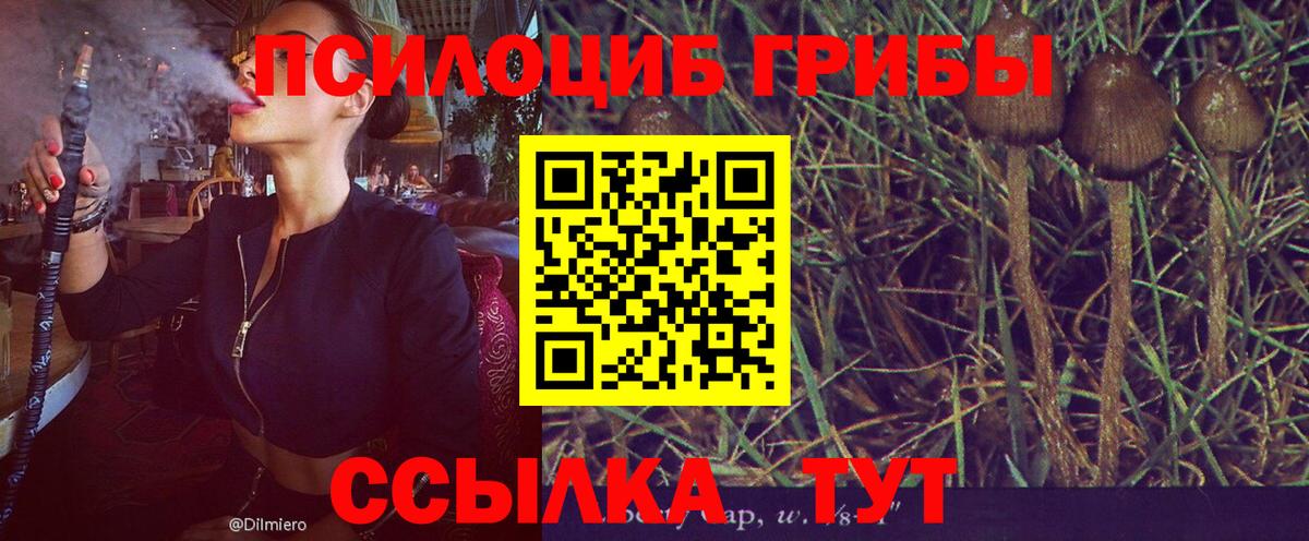 Псилоцибиновые грибы ЛСД Родники
